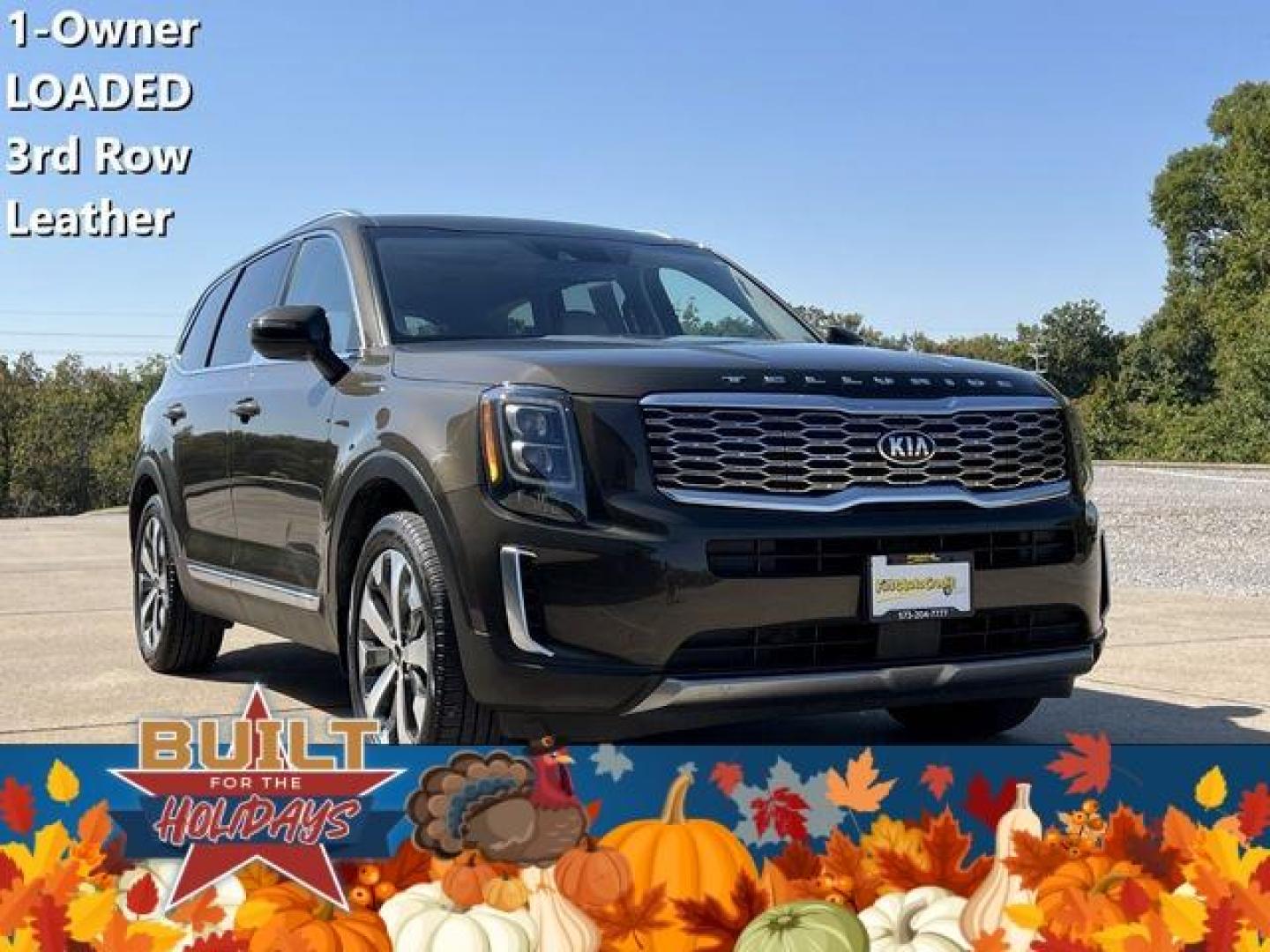 2021 GREEN /Tan KIA TELLURIDE EX (5XYP34HC5MG) with an 3.8L engine, Automatic transmission, located at 2990 Old Orchard Rd., Jackson, MO, 63755, 37.354214, -89.612106 - Photo#0