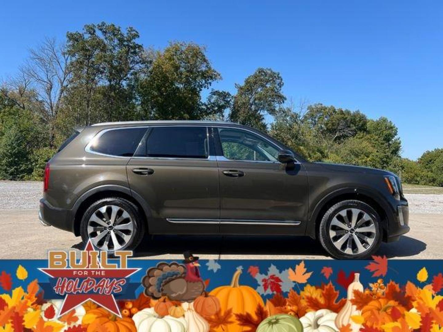 2021 GREEN /Tan KIA TELLURIDE EX (5XYP34HC5MG) with an 3.8L engine, Automatic transmission, located at 2990 Old Orchard Rd., Jackson, MO, 63755, 37.354214, -89.612106 - Photo#9