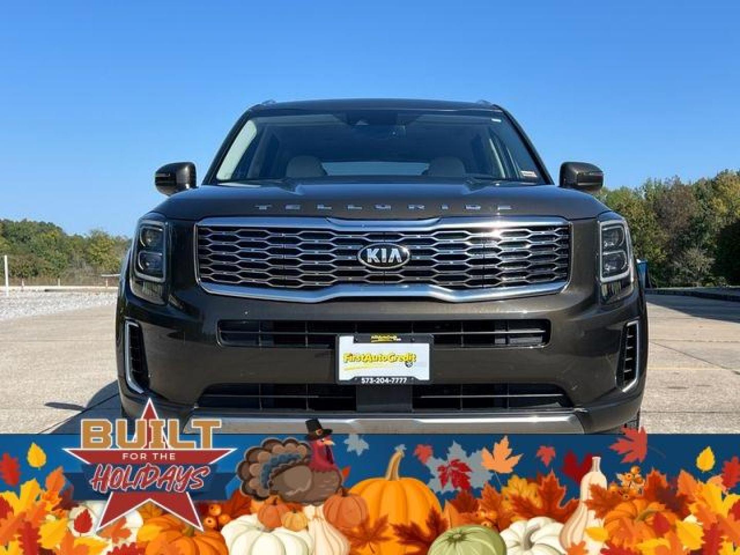 2021 GREEN /Tan KIA TELLURIDE EX (5XYP34HC5MG) with an 3.8L engine, Automatic transmission, located at 2990 Old Orchard Rd., Jackson, MO, 63755, 37.354214, -89.612106 - Photo#13