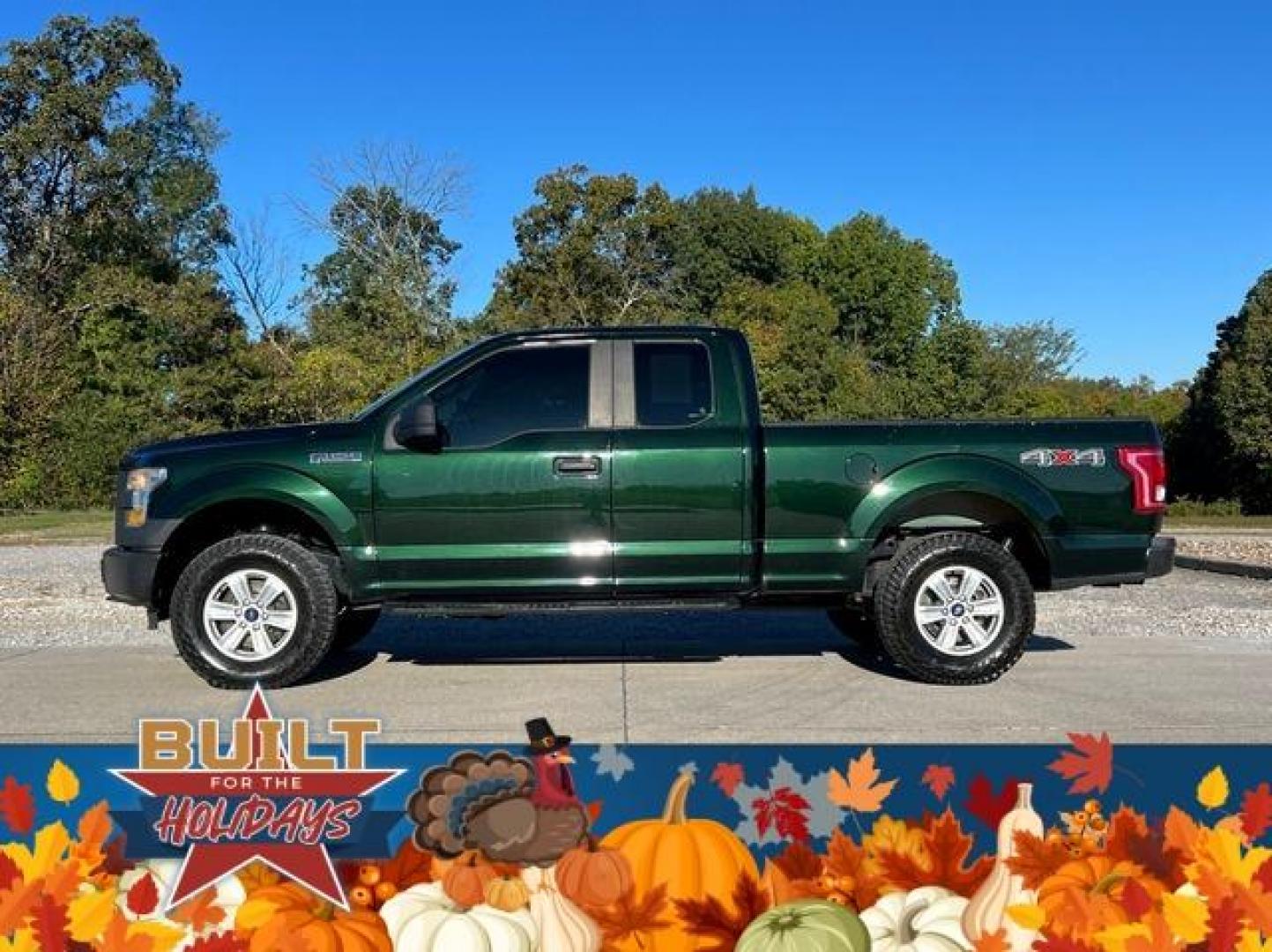 2016 GREEN /Gray FORD F150 XL (1FTFX1EF0GK) with an 5.0L engine, Automatic transmission, located at 2990 Old Orchard Rd., Jackson, MO, 63755, 37.354214, -89.612106 - Photo#4