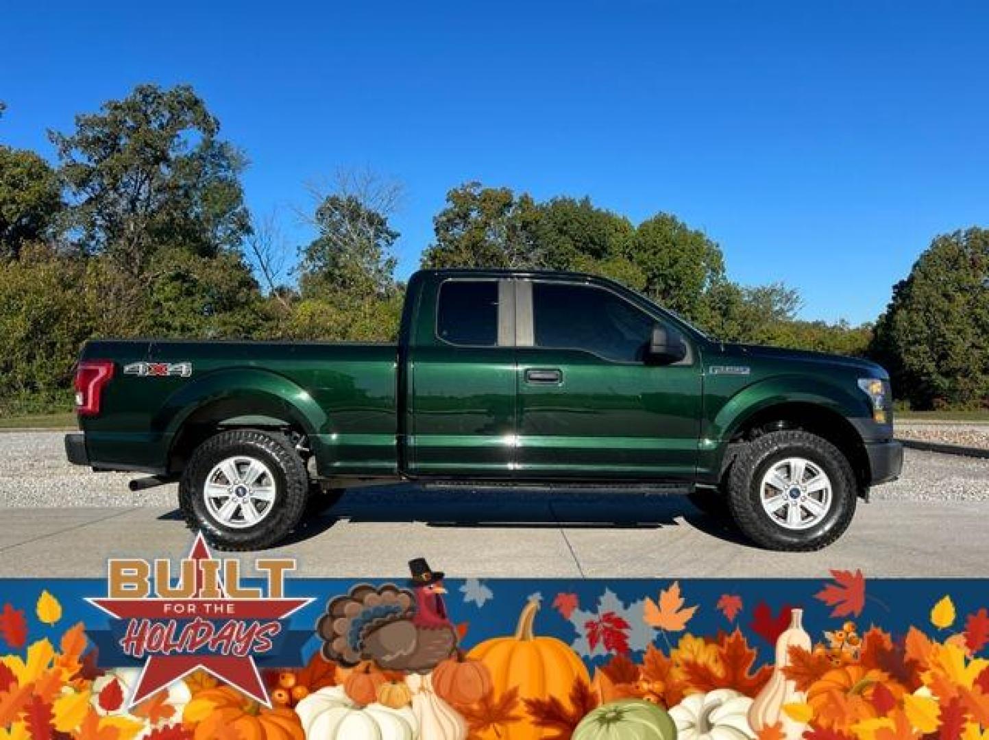 2016 GREEN /Gray FORD F150 XL (1FTFX1EF0GK) with an 5.0L engine, Automatic transmission, located at 2990 Old Orchard Rd., Jackson, MO, 63755, 37.354214, -89.612106 - Photo#5