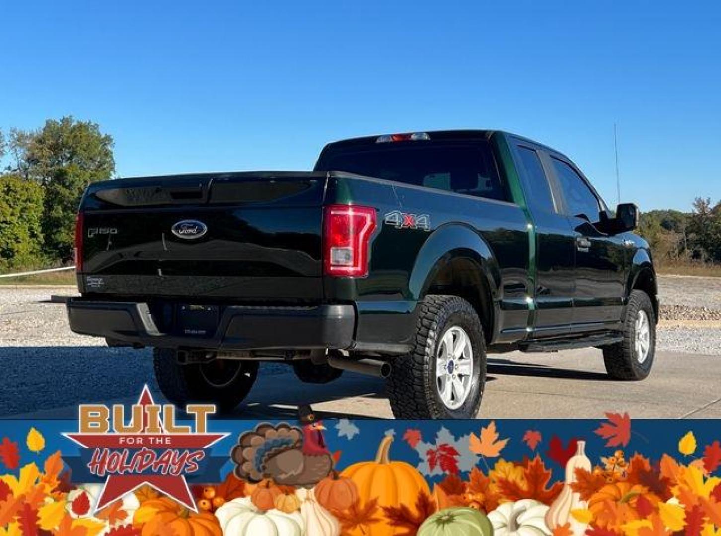 2016 GREEN /Gray FORD F150 XL (1FTFX1EF0GK) with an 5.0L engine, Automatic transmission, located at 2990 Old Orchard Rd., Jackson, MO, 63755, 37.354214, -89.612106 - Photo#6