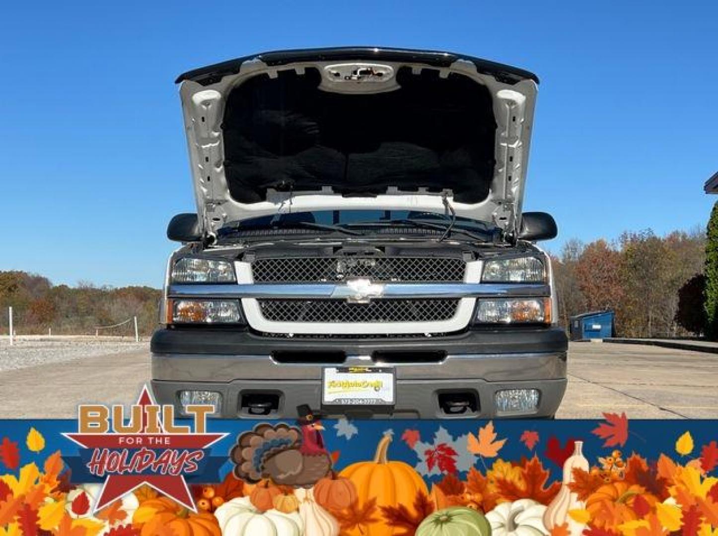 2005 WHITE /Gray CHEVROLET SILVERADO 1500 (1GCEK19B15E) with an 5.3L engine, Automatic transmission, located at 2990 Old Orchard Rd., Jackson, MO, 63755, 37.354214, -89.612106 - Photo#32