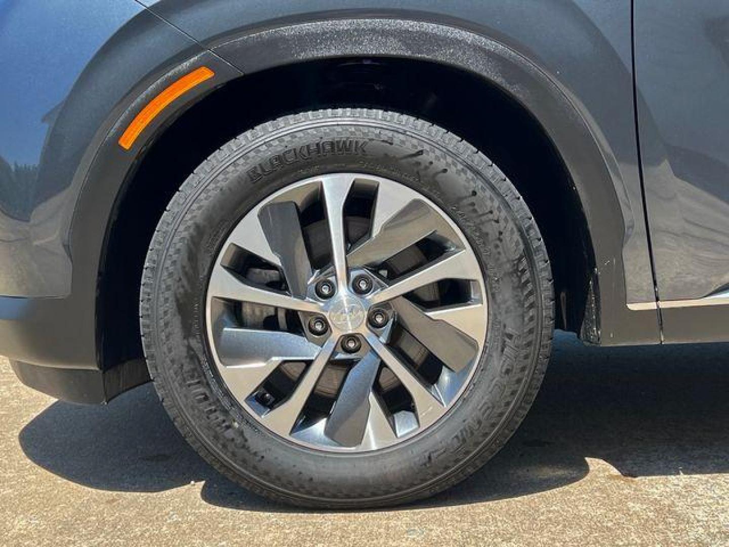 2020 GRAY /Gray HYUNDAI PALISADE SEL (KM8R24HE3LU) with an 3.8L engine, Automatic transmission, located at 2990 Old Orchard Rd., Jackson, MO, 63755, 37.354214, -89.612106 - Photo#41