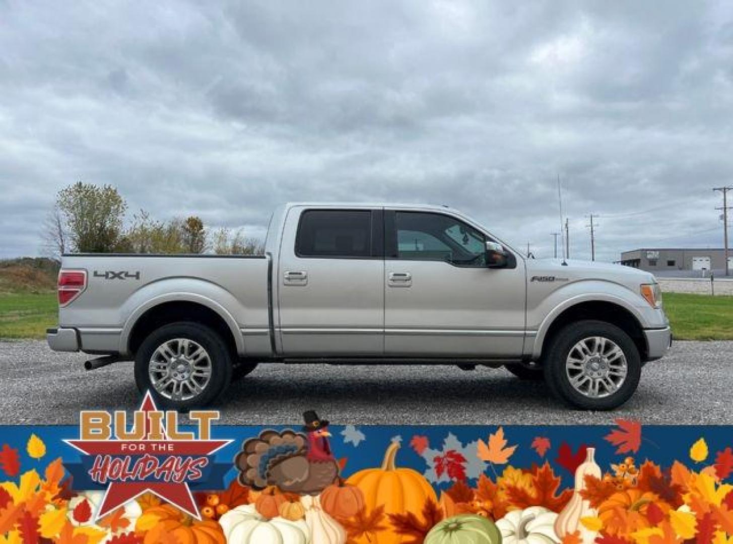 2012 SILVER /Gray FORD F150 PLATINUM (1FTFW1EF9CF) with an 5.0L engine, Automatic transmission, located at 2990 Old Orchard Rd., Jackson, MO, 63755, 37.354214, -89.612106 - Photo#11