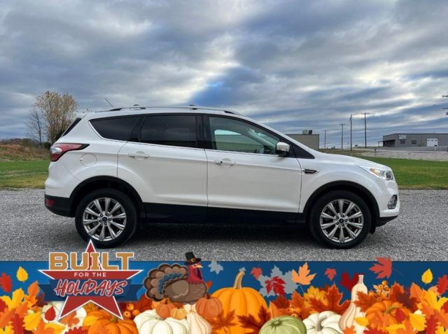 2017 WHITE /Tan FORD ESCAPE TITANIUM (1FMCU0J98HU) with an 2.0L engine, Automatic transmission, located at 2990 Old Orchard Rd., Jackson, MO, 63755, 37.354214, -89.612106 - Photo#9