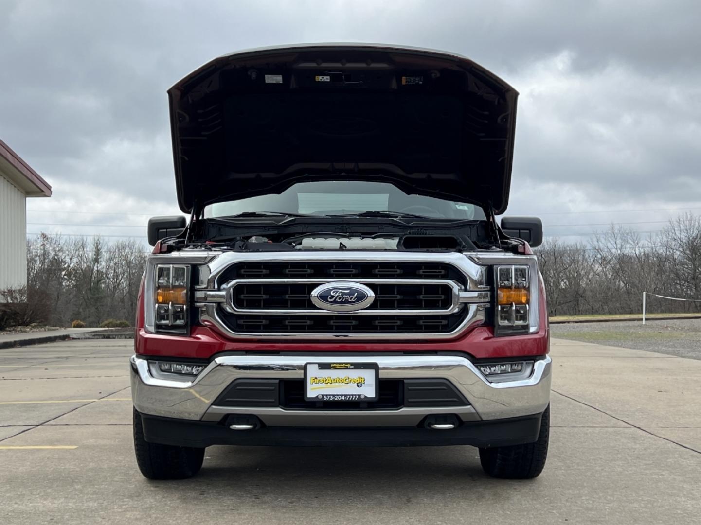 2021 RED /Gray Cloth FORD F150 XLT (1FTFW1ED1MF) with an 3.5L engine, Automatic transmission, located at 2990 Old Orchard Rd., Jackson, MO, 63755, 37.354214, -89.612106 - Photo#42