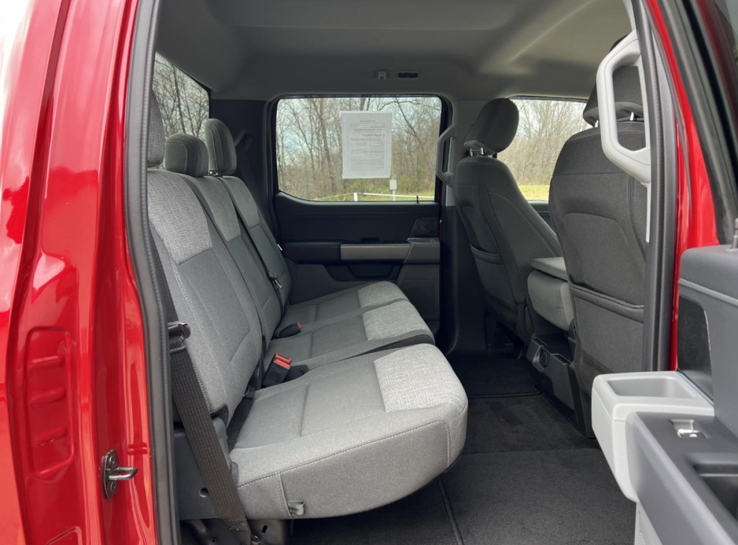 2021 RED /Gray Cloth FORD F150 XLT (1FTFW1ED1MF) with an 3.5L engine, Automatic transmission, located at 2990 Old Orchard Rd., Jackson, MO, 63755, 37.354214, -89.612106 - Photo#20