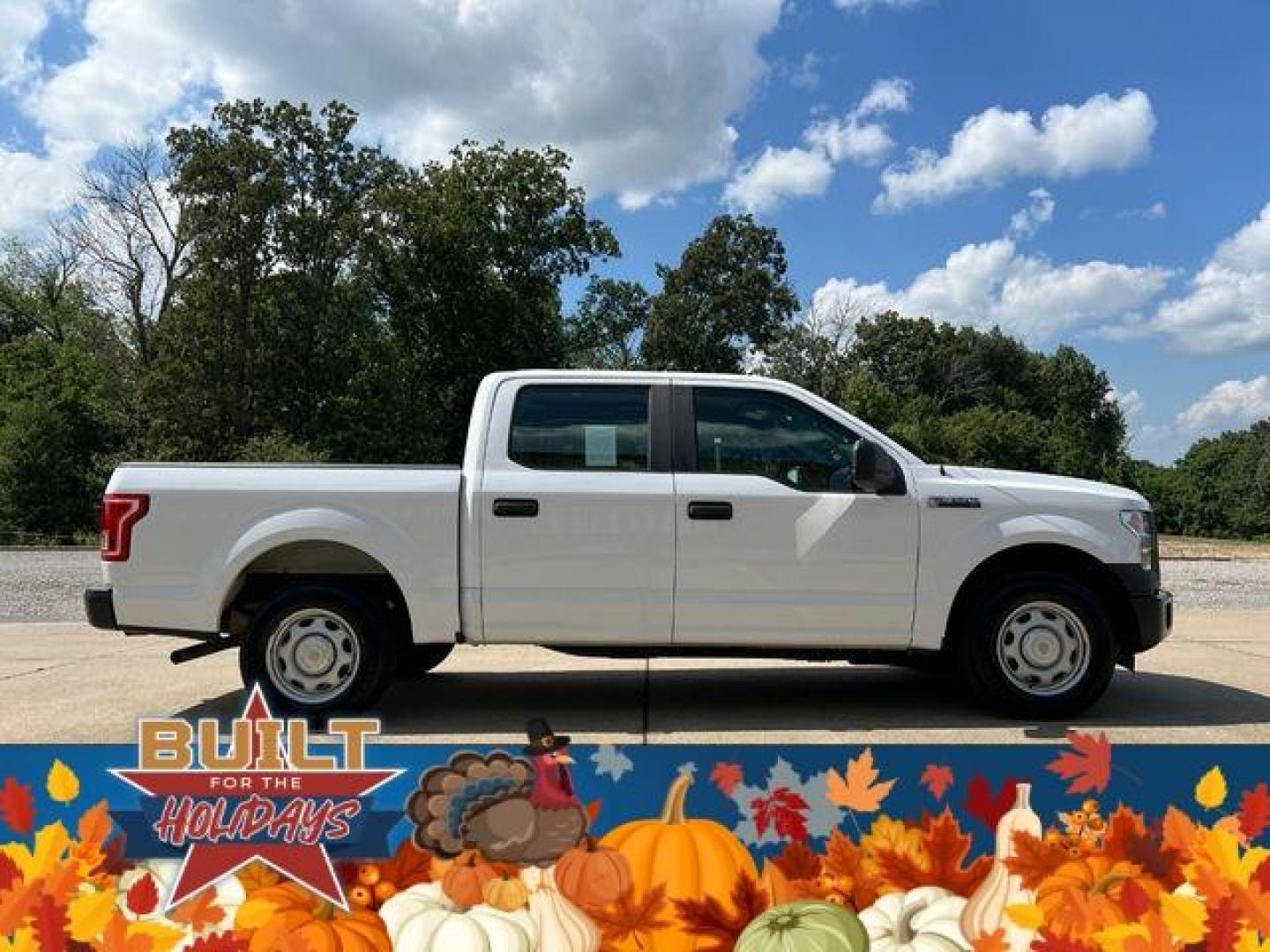 2015 WHITE /Gray FORD F150 XL (1FTEW1C87FK) with an 3.5L engine, Automatic transmission, located at 2990 Old Orchard Rd., Jackson, MO, 63755, 37.354214, -89.612106 - Photo#4