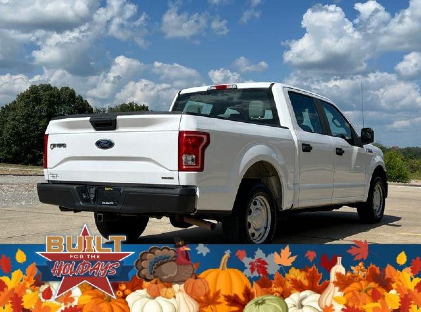 2015 WHITE /Gray FORD F150 XL (1FTEW1C87FK) with an 3.5L engine, Automatic transmission, located at 2990 Old Orchard Rd., Jackson, MO, 63755, 37.354214, -89.612106 - Photo#5