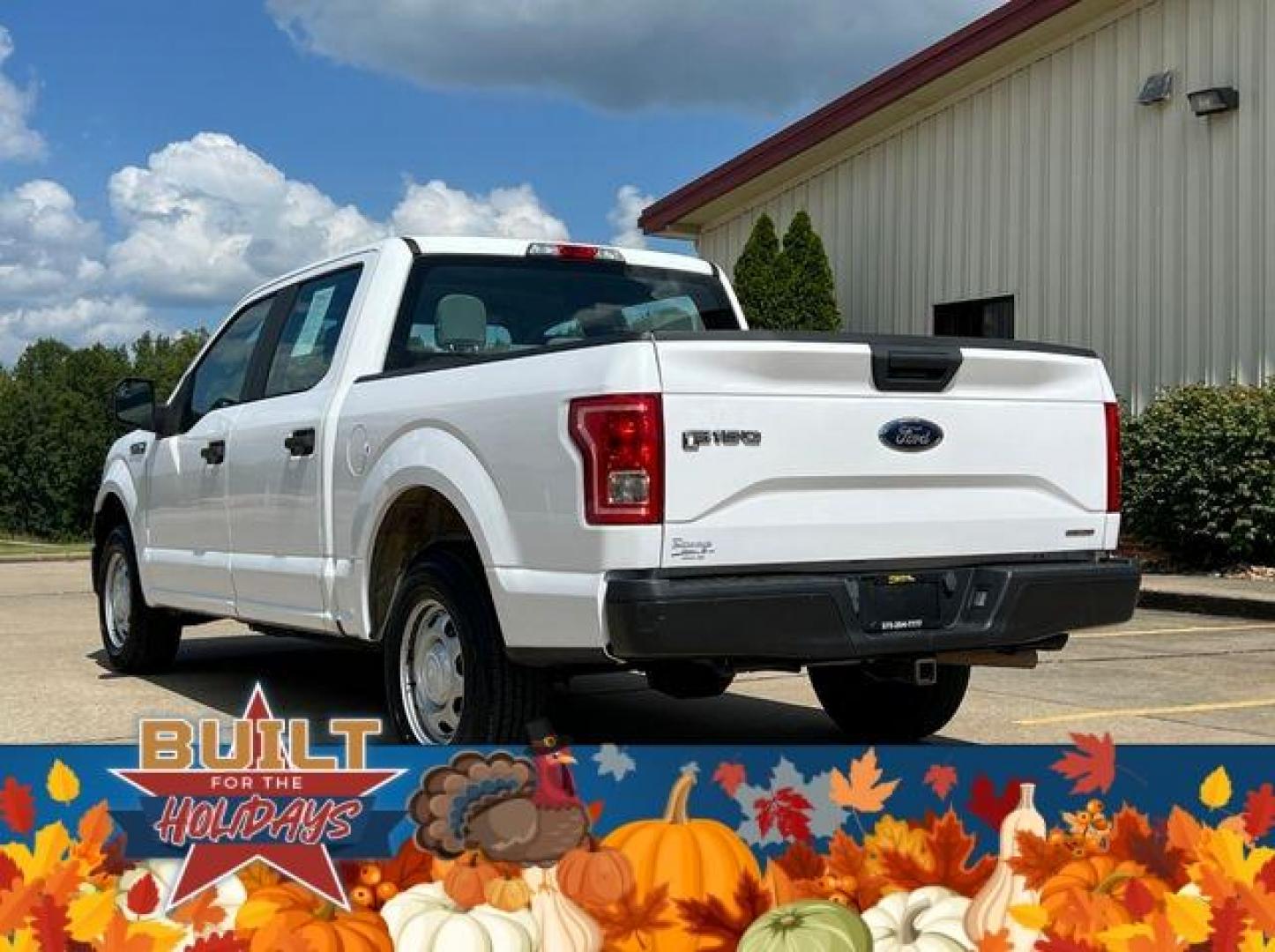 2015 WHITE /Gray FORD F150 XL (1FTEW1C87FK) with an 3.5L engine, Automatic transmission, located at 2990 Old Orchard Rd., Jackson, MO, 63755, 37.354214, -89.612106 - Photo#6