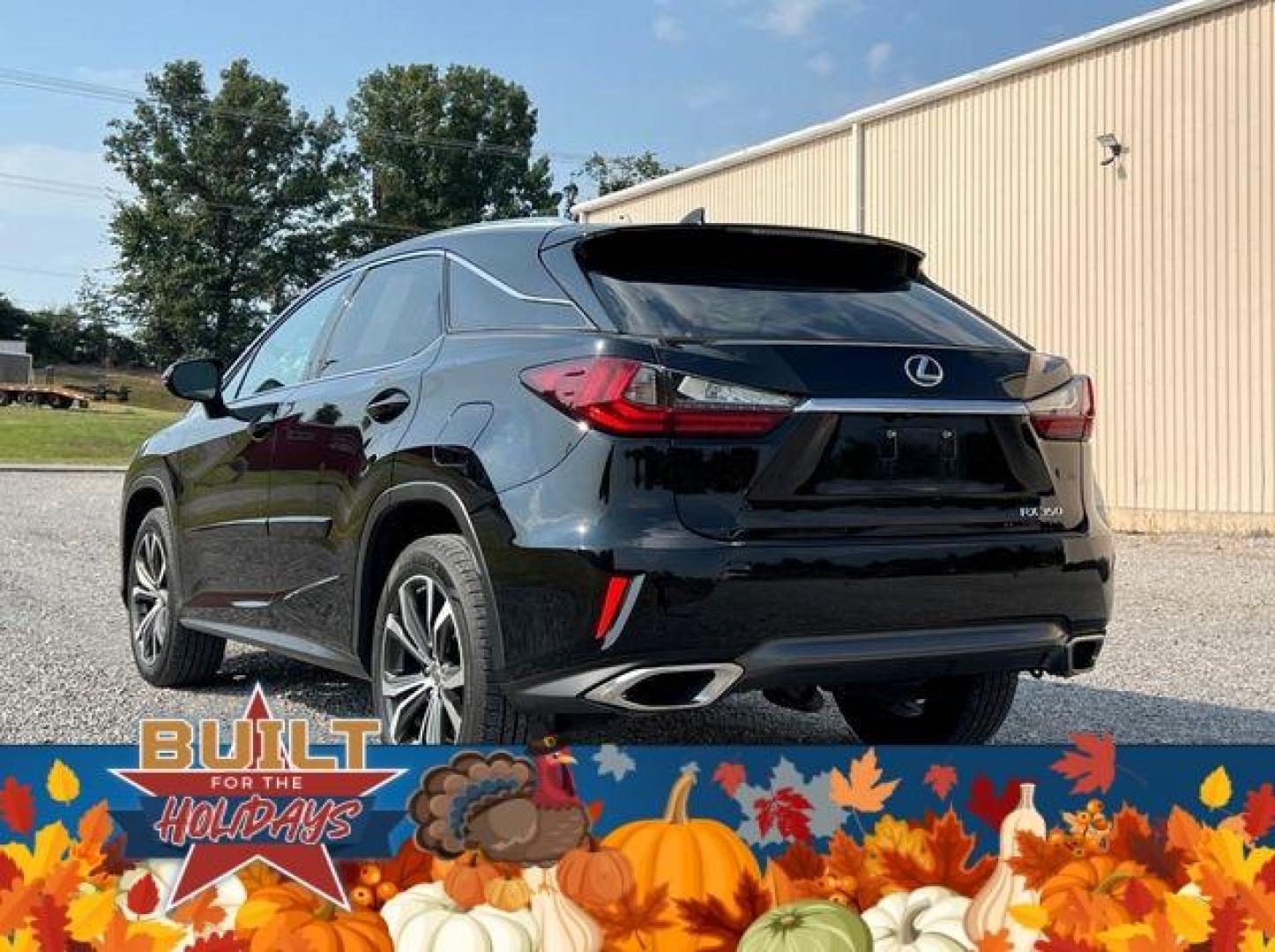 2017 /Black Lexus RX 350 (2T2BZMCA9HC) with an 3.5L V6 engine, Automatic transmission, located at 2990 Old Orchard Rd., Jackson, MO, 63755, 37.354214, -89.612106 - If you have any questions give us a call at (573) 204-7777 or visit our website at https://firstautocredit.com.This vehicle is also for sale locally so auction may end at any time. First Auto Credit does offer after market warranties. - Photo#6